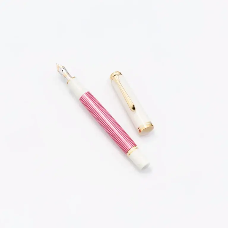 Pelikan 6